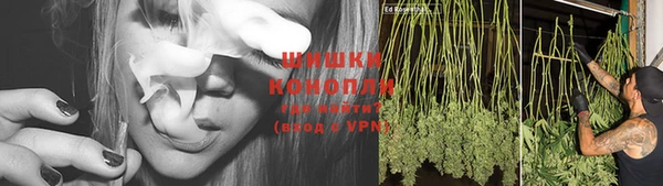 mix Бородино