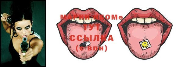 индика Бугульма