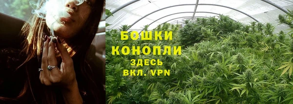 индика Бугульма