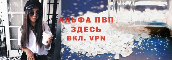 индика Бугульма