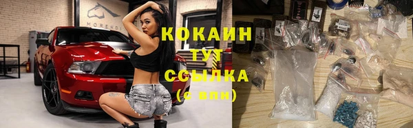 mix Бородино