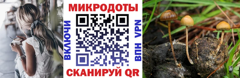 Псилоцибиновые грибы ЛСД Кировград